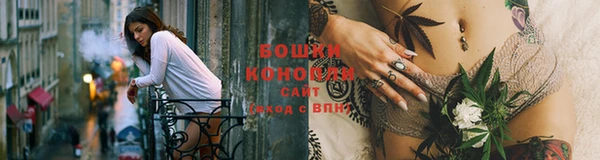 винт Лабытнанги