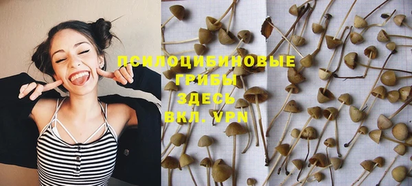 мескалин Лагань