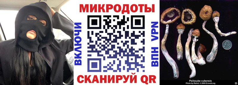купить цена Мариинский Посад Галлюциногенные грибы GOLDEN TEACHER